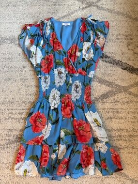 Parker Sky Blue Floral V-Neck Dress with Red Blooms